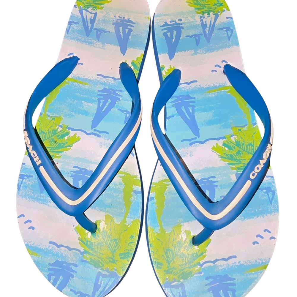 Coach Vibrant Blue and Green Men's Flip Flops